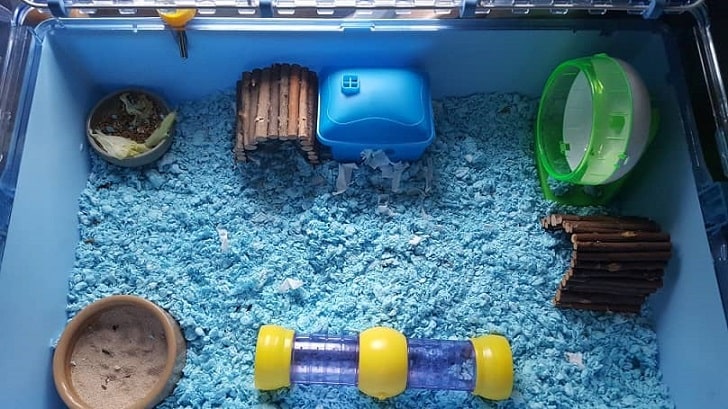 Çin Cüce Hamster Bakımı (Kafesi Düzenli Olarak Temizleme)