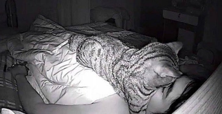 Kedinin Sizi Gece Uyandırmasını Nasıl Engellersiniz
